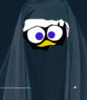 L'avatar di calivelo