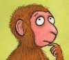 L'avatar di Paridone