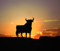 L'avatar di riccio_toro