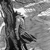 L'avatar di rigel