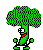 Broccolo